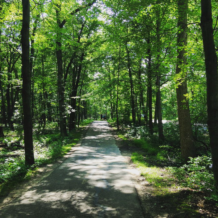 Kensington Metropark - 2015 Photo (newer photo)